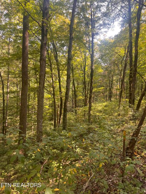 Tiny photo for 346 Wolfenbarger Lane, Luttrell, TN 37779 (MLS # 1315726)