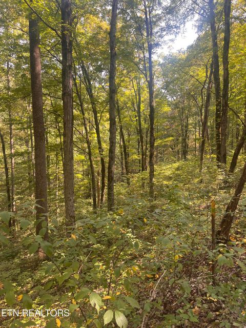 Tiny photo for 346 Wolfenbarger Lane, Luttrell, TN 37779 (MLS # 1315726)