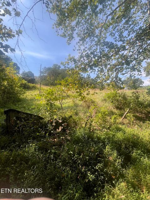 Tiny photo for 346 Wolfenbarger Lane, Luttrell, TN 37779 (MLS # 1315726)
