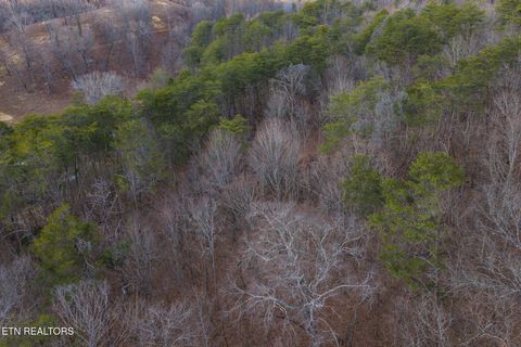 Tiny photo for 1655 Lester Whitt Rd, Rutledge, TN 37861 (MLS # 1325970)