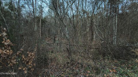 Tiny photo for 1655 Lester Whitt Rd, Rutledge, TN 37861 (MLS # 1325970)