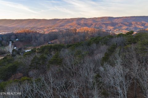 Photo of 1655 Lester Whitt Rd, Rutledge, TN 37861 (MLS # 1325970)