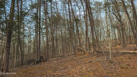 Tiny photo for 1655 Lester Whitt Rd, Rutledge, TN 37861 (MLS # 1325970)