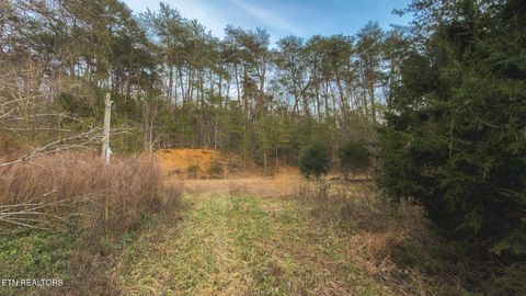 Tiny photo for 1655 Lester Whitt Rd, Rutledge, TN 37861 (MLS # 1325970)
