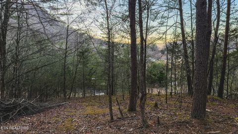 Tiny photo for 1655 Lester Whitt Rd, Rutledge, TN 37861 (MLS # 1325970)