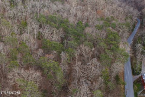 Tiny photo for 1655 Lester Whitt Rd, Rutledge, TN 37861 (MLS # 1325970)