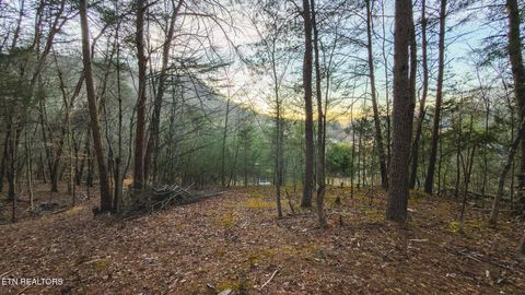 Tiny photo for 1655 Lester Whitt Rd, Rutledge, TN 37861 (MLS # 1325970)