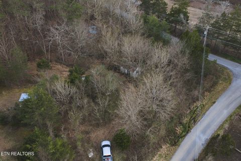 Tiny photo for 1655 Lester Whitt Rd, Rutledge, TN 37861 (MLS # 1325970)