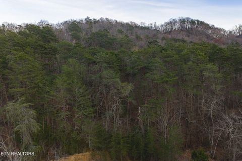 Tiny photo for 1655 Lester Whitt Rd, Rutledge, TN 37861 (MLS # 1325970)
