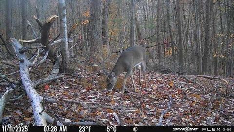 Tiny photo for 1655 Lester Whitt Rd, Rutledge, TN 37861 (MLS # 1325970)