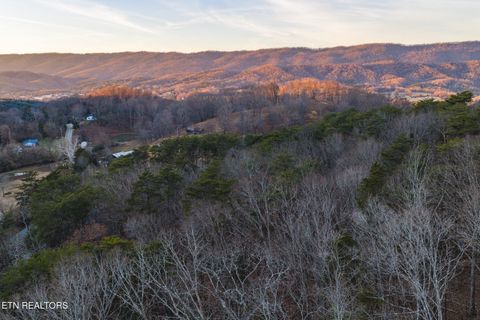 Tiny photo for 1655 Lester Whitt Rd, Rutledge, TN 37861 (MLS # 1325970)