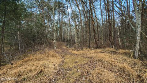 Tiny photo for 1655 Lester Whitt Rd, Rutledge, TN 37861 (MLS # 1325970)