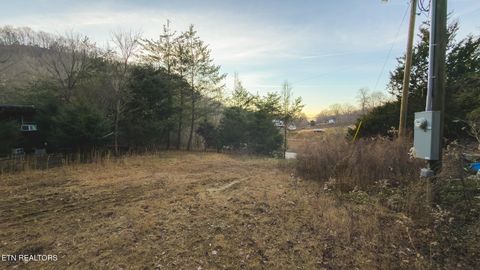Tiny photo for 1655 Lester Whitt Rd, Rutledge, TN 37861 (MLS # 1325970)