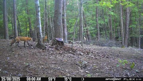 Tiny photo for 1655 Lester Whitt Rd, Rutledge, TN 37861 (MLS # 1325970)