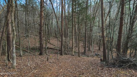 Tiny photo for 1655 Lester Whitt Rd, Rutledge, TN 37861 (MLS # 1325970)