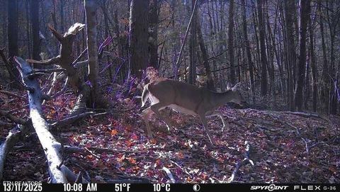 Tiny photo for 1655 Lester Whitt Rd, Rutledge, TN 37861 (MLS # 1325970)