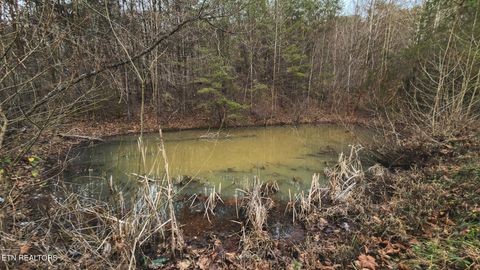 Tiny photo for 1655 Lester Whitt Rd, Rutledge, TN 37861 (MLS # 1325970)