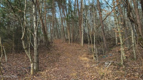 Tiny photo for 1655 Lester Whitt Rd, Rutledge, TN 37861 (MLS # 1325970)