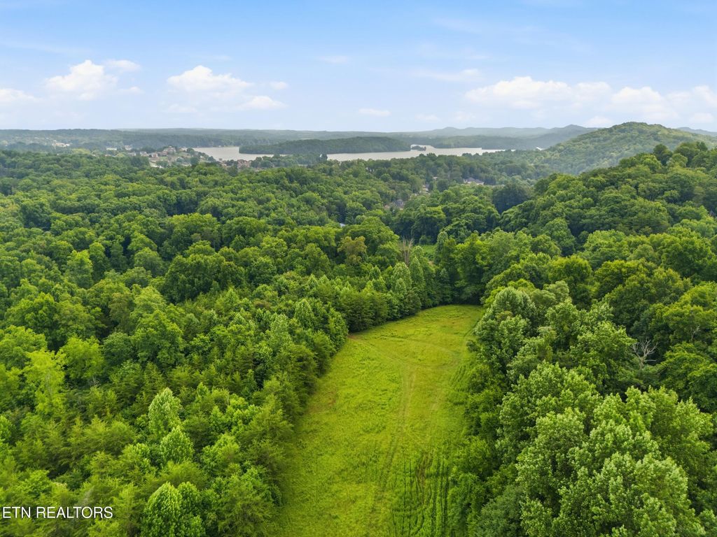 Photo of Mayo Rd, Vonore, TN 37885 (MLS # 1344709)