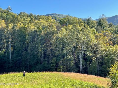 Tiny photo for 0 Barnes Hollow Rd, Cosby, TN 37722 (MLS # 1339356)