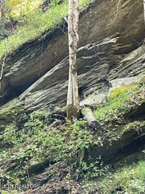 Tiny photo for 0 Barnes Hollow Rd, Cosby, TN 37722 (MLS # 1339356)