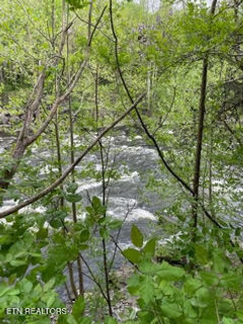 Tiny photo for 0 Barnes Hollow Rd, Cosby, TN 37722 (MLS # 1339356)