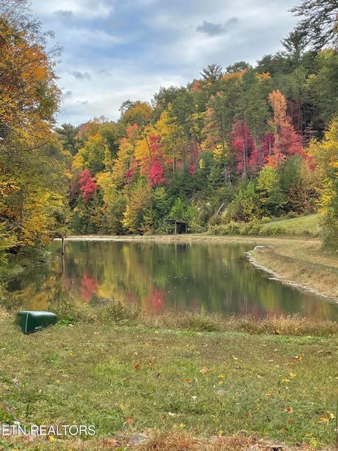 Tiny photo for 0 Barnes Hollow Rd, Cosby, TN 37722 (MLS # 1339356)