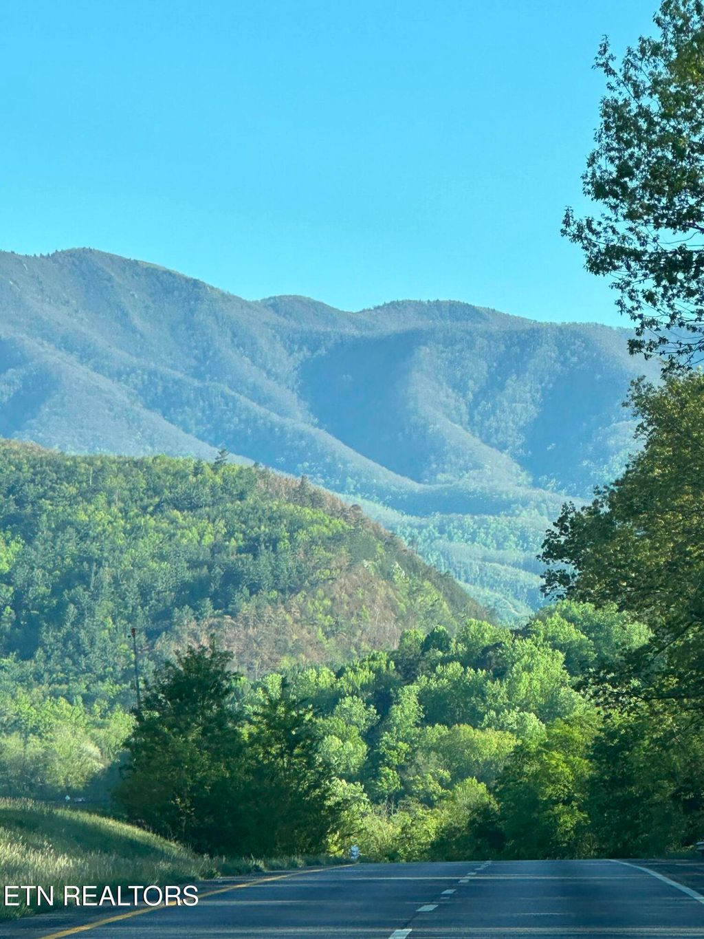 Photo of 0 Barnes Hollow Rd, Cosby, TN 37722 (MLS # 1339356)
