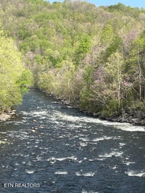 Tiny photo for 0 Barnes Hollow Rd, Cosby, TN 37722 (MLS # 1339356)