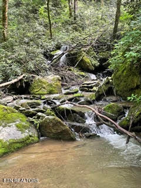 Tiny photo for 0 Barnes Hollow Rd, Cosby, TN 37722 (MLS # 1339356)
