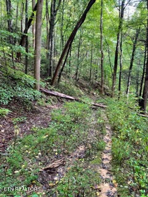 Tiny photo for 0 Barnes Hollow Rd, Cosby, TN 37722 (MLS # 1339356)