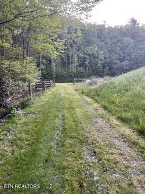 Tiny photo for 0 Barnes Hollow Rd, Cosby, TN 37722 (MLS # 1339356)