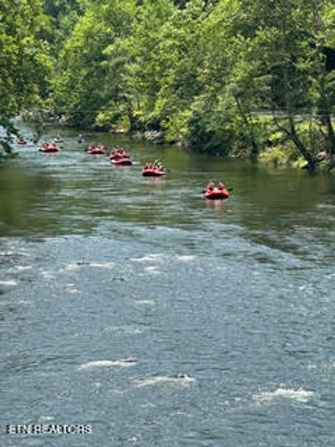 Tiny photo for 0 Barnes Hollow Rd, Cosby, TN 37722 (MLS # 1339356)