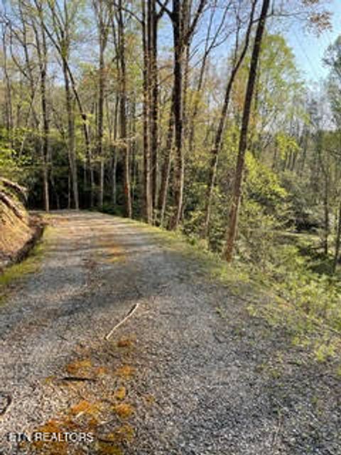 Tiny photo for 0 Barnes Hollow Rd, Cosby, TN 37722 (MLS # 1339356)