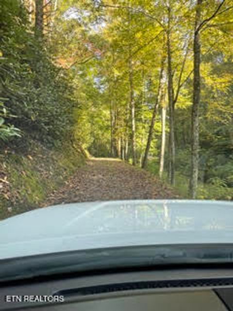 Tiny photo for 0 Barnes Hollow Rd, Cosby, TN 37722 (MLS # 1339356)