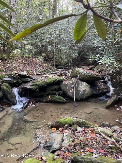 Tiny photo for 0 Barnes Hollow Rd, Cosby, TN 37722 (MLS # 1339356)