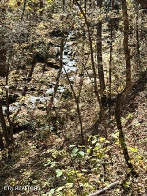 Tiny photo for 0 Barnes Hollow Rd, Cosby, TN 37722 (MLS # 1339356)