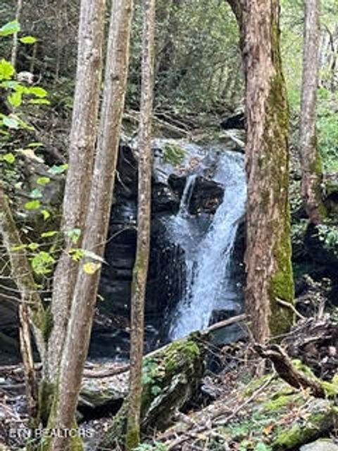 Tiny photo for 0 Barnes Hollow Rd, Cosby, TN 37722 (MLS # 1339356)