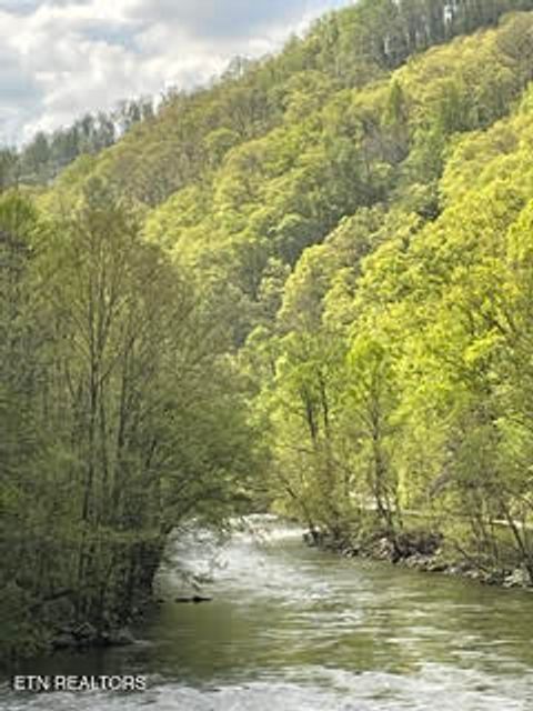 Tiny photo for 0 Barnes Hollow Rd, Cosby, TN 37722 (MLS # 1339356)