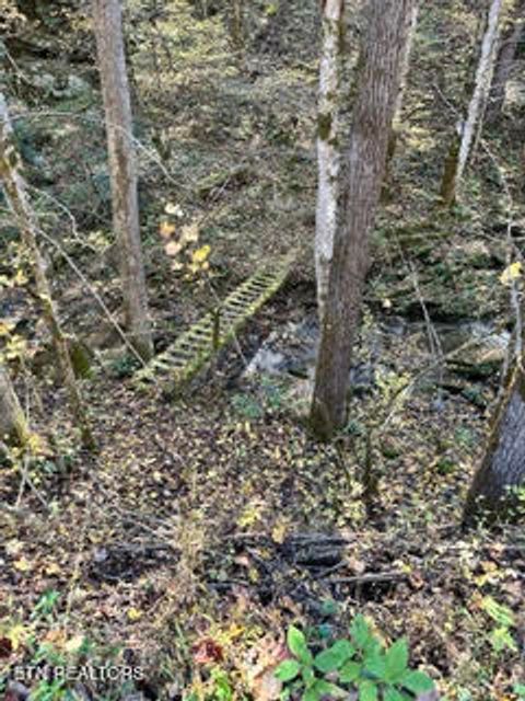 Tiny photo for 0 Barnes Hollow Rd, Cosby, TN 37722 (MLS # 1339356)