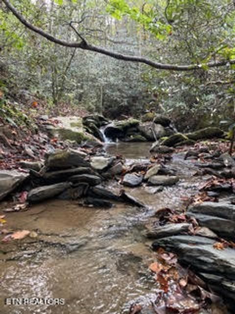 Tiny photo for 0 Barnes Hollow Rd, Cosby, TN 37722 (MLS # 1339356)