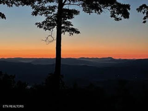 Tiny photo for 0 Barnes Hollow Rd, Cosby, TN 37722 (MLS # 1339356)