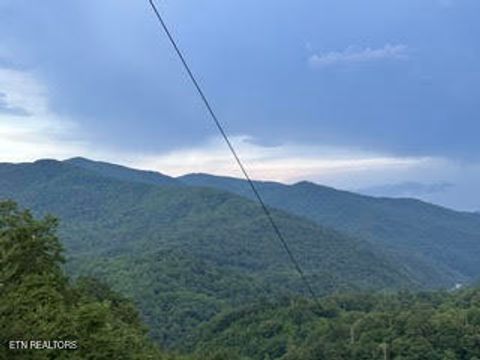 Tiny photo for 0 Barnes Hollow Rd, Cosby, TN 37722 (MLS # 1339356)
