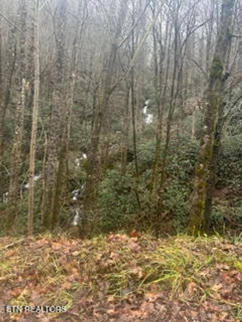 Tiny photo for 0 Barnes Hollow Rd, Cosby, TN 37722 (MLS # 1339356)