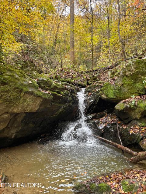 Tiny photo for 0 Barnes Hollow Rd, Cosby, TN 37722 (MLS # 1339356)