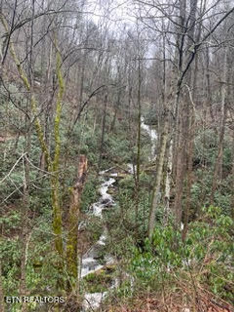 Tiny photo for 0 Barnes Hollow Rd, Cosby, TN 37722 (MLS # 1339356)