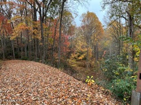 Tiny photo for 0 Barnes Hollow Rd, Cosby, TN 37722 (MLS # 1339356)