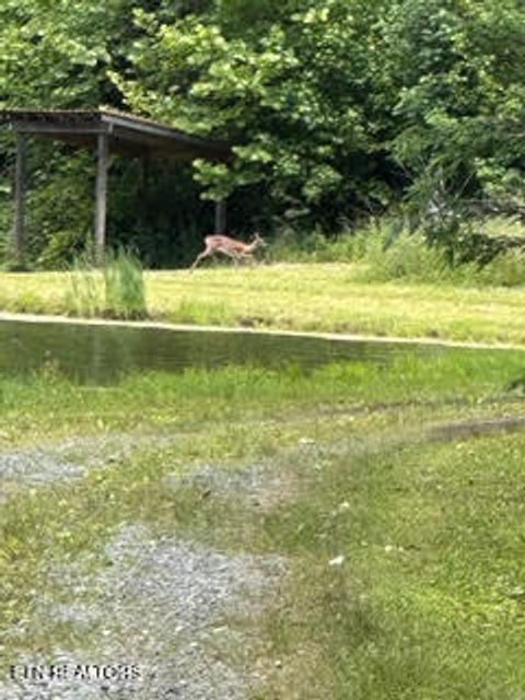 Tiny photo for 0 Barnes Hollow Rd, Cosby, TN 37722 (MLS # 1339356)