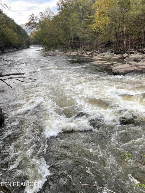 Tiny photo for 0 Barnes Hollow Rd, Cosby, TN 37722 (MLS # 1339356)