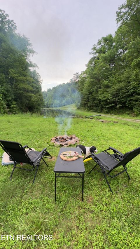 Tiny photo for 0 Barnes Hollow Rd, Cosby, TN 37722 (MLS # 1339356)